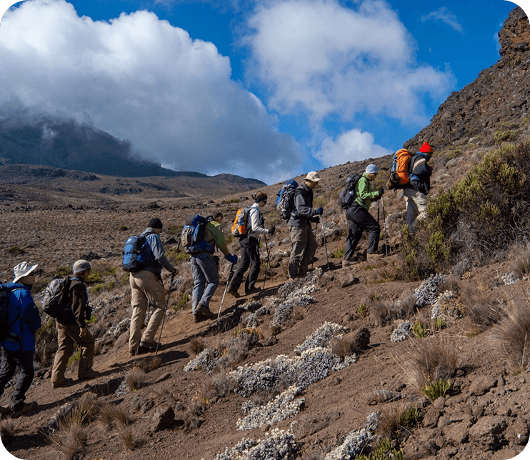 Lemosho Route - Mount Kilimanjaro