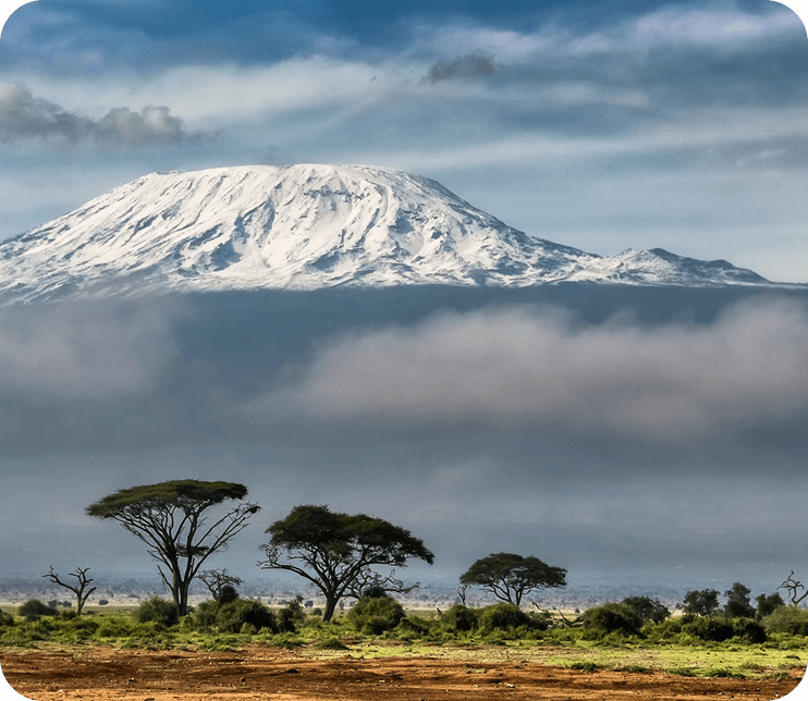 Marangu Route - Mount Kilimanjaro