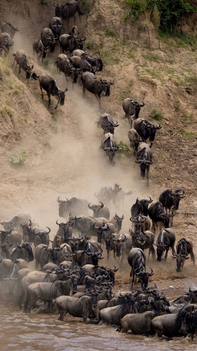 Arusha National Park - Image 1
