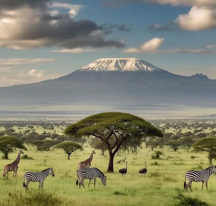 Arusha National Park - Image 1