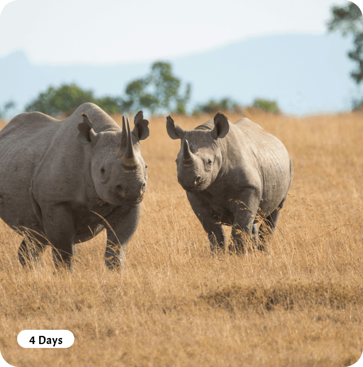 Unzip Serengeti & Ngorogoro - Mount Kilimanjaro