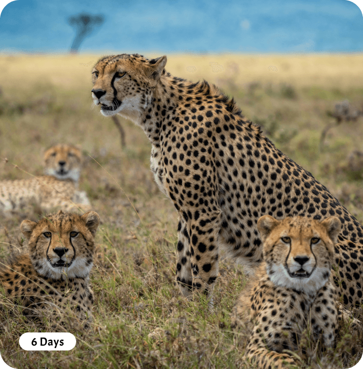 The North Wonders Safari - Mount Kilimanjaro
